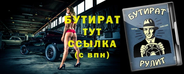 сатива Коряжма