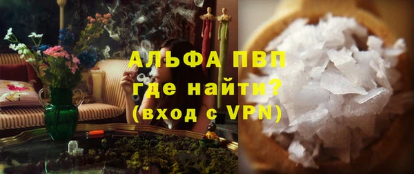 сатива Волоколамск